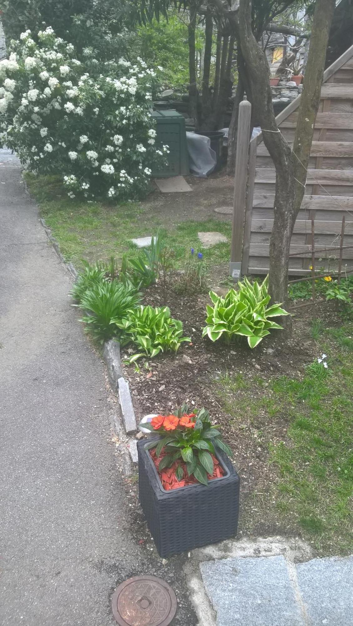 Ferienwohnung Ca Da La Nona Cavigliano Exterior foto